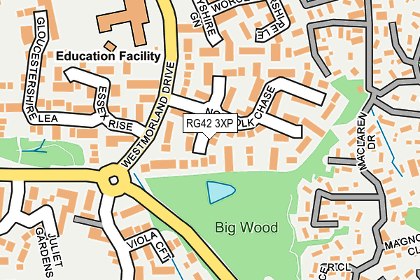 RG42 3XP map - OS OpenMap – Local (Ordnance Survey)