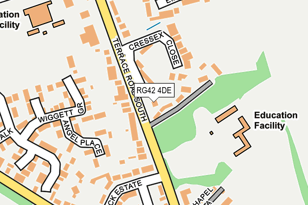 RG42 4DE map - OS OpenMap – Local (Ordnance Survey)