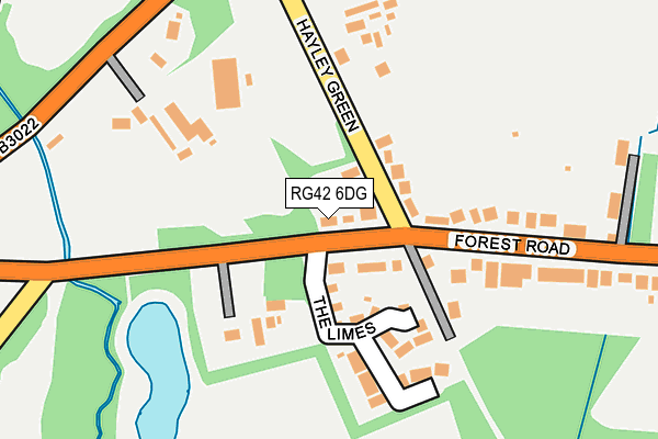 RG42 6DG map - OS OpenMap – Local (Ordnance Survey)