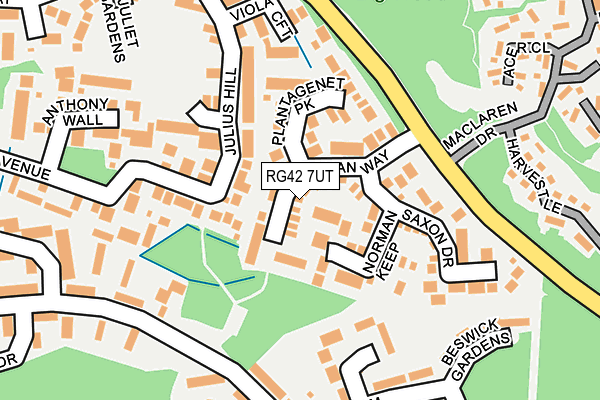 RG42 7UT map - OS OpenMap – Local (Ordnance Survey)