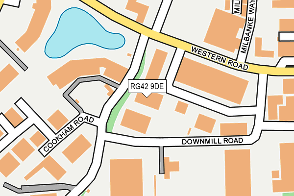RG42 9DE map - OS OpenMap – Local (Ordnance Survey)