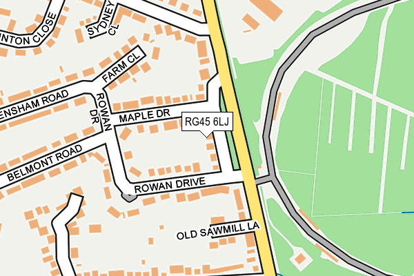 RG45 6LJ map - OS OpenMap – Local (Ordnance Survey)