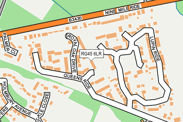 RG45 6LR map - OS OpenMap – Local (Ordnance Survey)