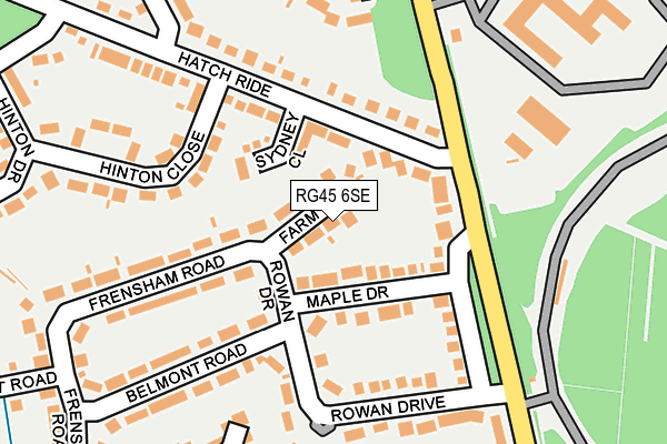 RG45 6SE map - OS OpenMap – Local (Ordnance Survey)