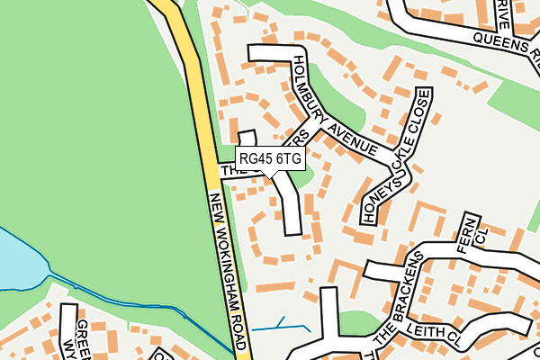 RG45 6TG map - OS OpenMap – Local (Ordnance Survey)