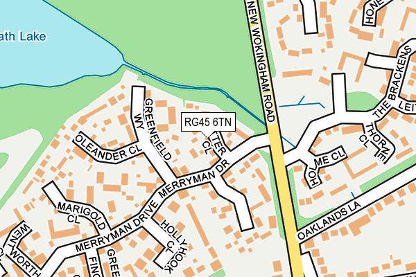 RG45 6TN map - OS OpenMap – Local (Ordnance Survey)