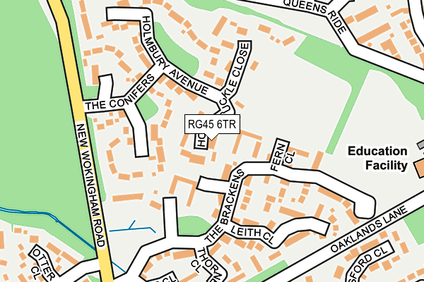 RG45 6TR map - OS OpenMap – Local (Ordnance Survey)