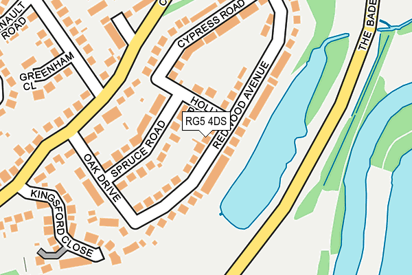 RG5 4DS map - OS OpenMap – Local (Ordnance Survey)
