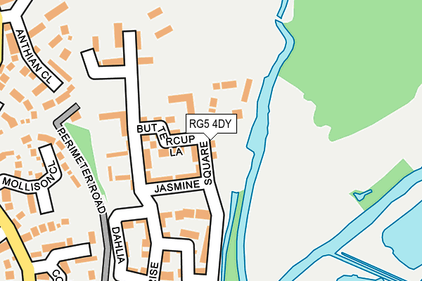 RG5 4DY map - OS OpenMap – Local (Ordnance Survey)