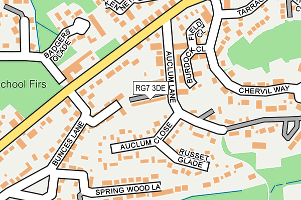 RG7 3DE map - OS OpenMap – Local (Ordnance Survey)