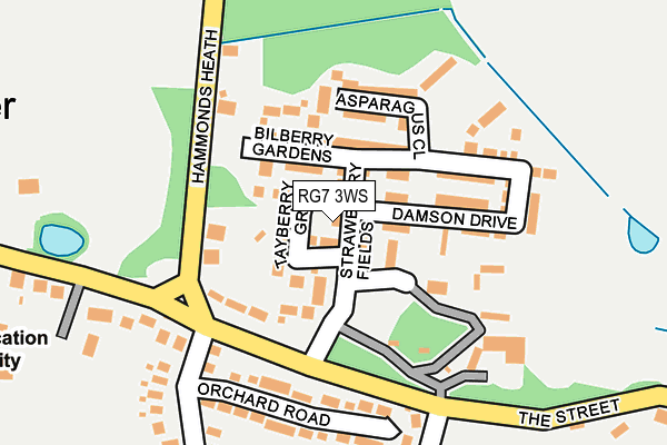 RG7 3WS map - OS OpenMap – Local (Ordnance Survey)