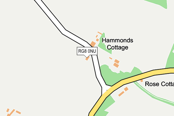 RG8 0NU map - OS OpenMap – Local (Ordnance Survey)