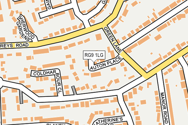 RG9 1LG map - OS OpenMap – Local (Ordnance Survey)