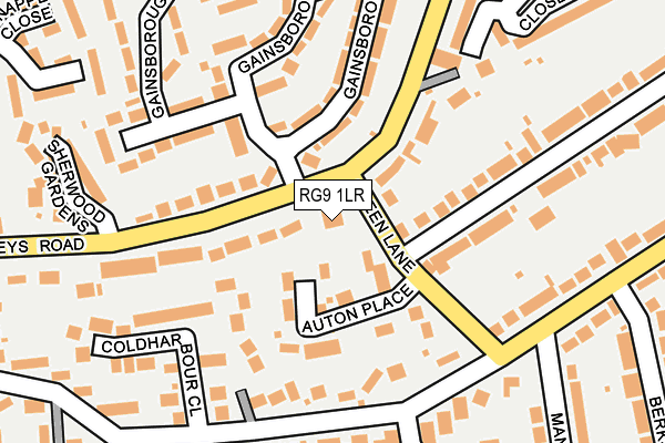 RG9 1LR map - OS OpenMap – Local (Ordnance Survey)