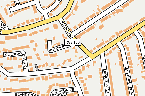 RG9 1LS map - OS OpenMap – Local (Ordnance Survey)