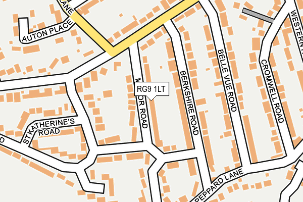 RG9 1LT map - OS OpenMap – Local (Ordnance Survey)