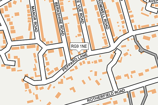 RG9 1NE map - OS OpenMap – Local (Ordnance Survey)