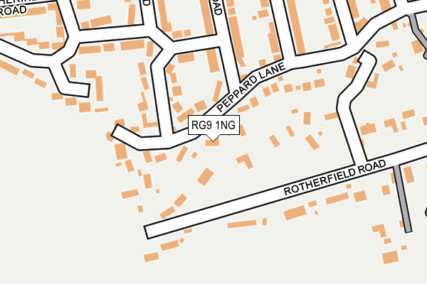 RG9 1NG map - OS OpenMap – Local (Ordnance Survey)