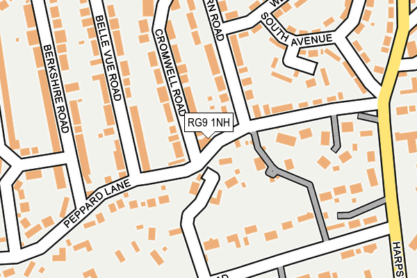 RG9 1NH map - OS OpenMap – Local (Ordnance Survey)