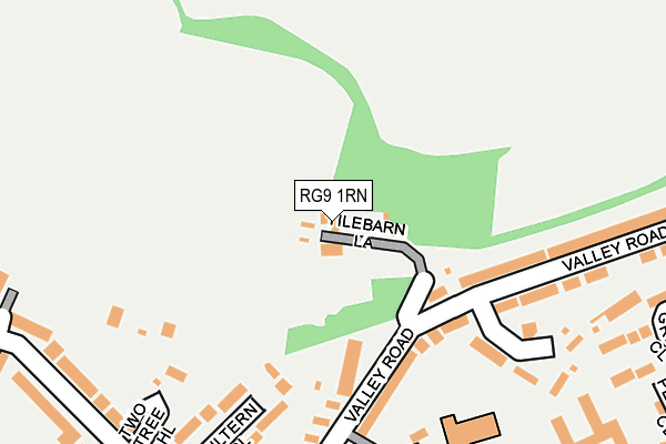 RG9 1RN map - OS OpenMap – Local (Ordnance Survey)