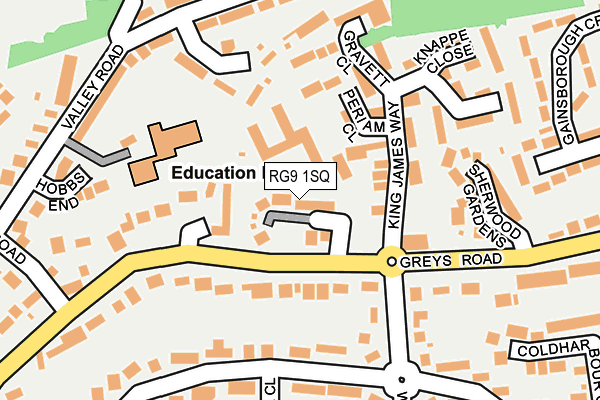 RG9 1SQ map - OS OpenMap – Local (Ordnance Survey)