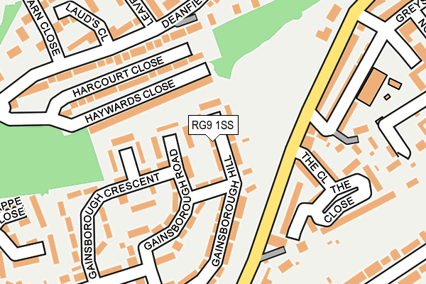 RG9 1SS map - OS OpenMap – Local (Ordnance Survey)