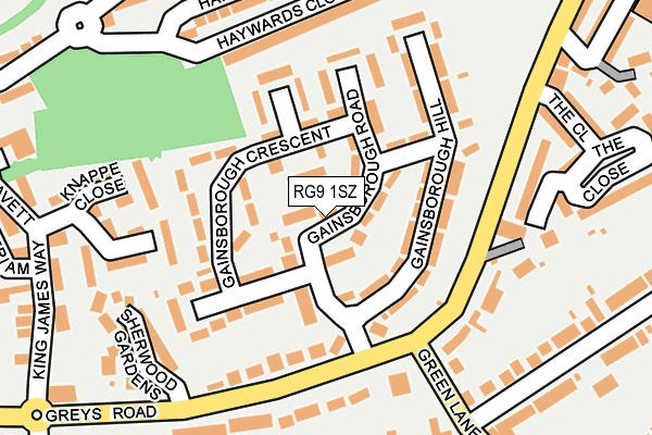 RG9 1SZ map - OS OpenMap – Local (Ordnance Survey)