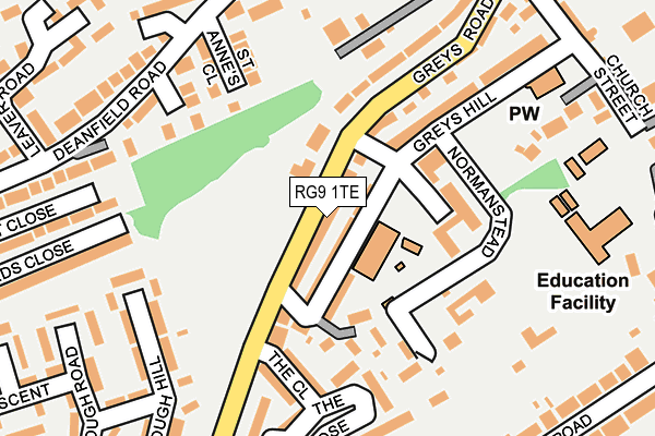 RG9 1TE map - OS OpenMap – Local (Ordnance Survey)