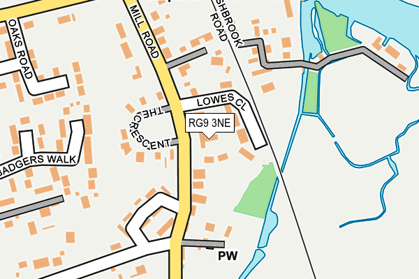 RG9 3NE map - OS OpenMap – Local (Ordnance Survey)