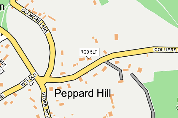 RG9 5LT map - OS OpenMap – Local (Ordnance Survey)