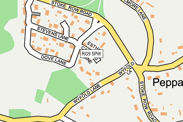 RG9 5PW map - OS OpenMap – Local (Ordnance Survey)