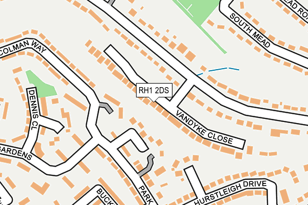 RH1 2DS map - OS OpenMap – Local (Ordnance Survey)