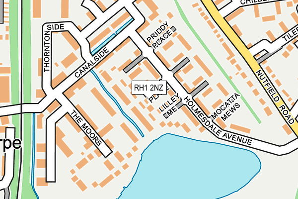 RH1 2NZ map - OS OpenMap – Local (Ordnance Survey)