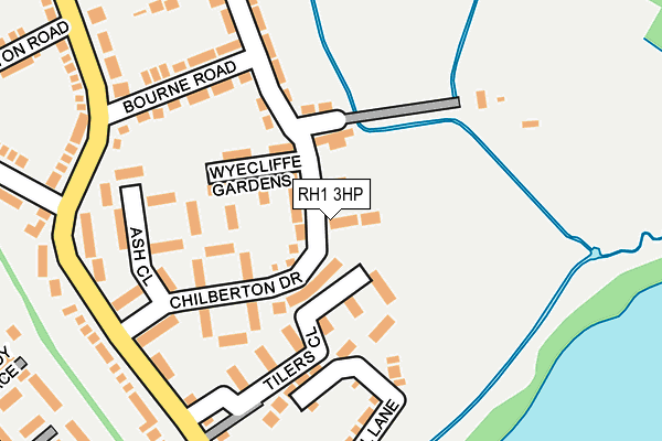 RH1 3HP map - OS OpenMap – Local (Ordnance Survey)