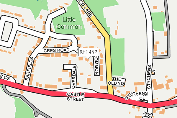 RH1 4NP map - OS OpenMap – Local (Ordnance Survey)