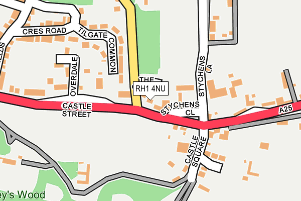 RH1 4NU map - OS OpenMap – Local (Ordnance Survey)