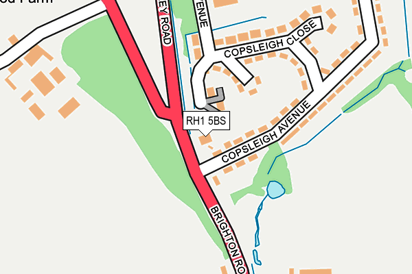 RH1 5BS map - OS OpenMap – Local (Ordnance Survey)