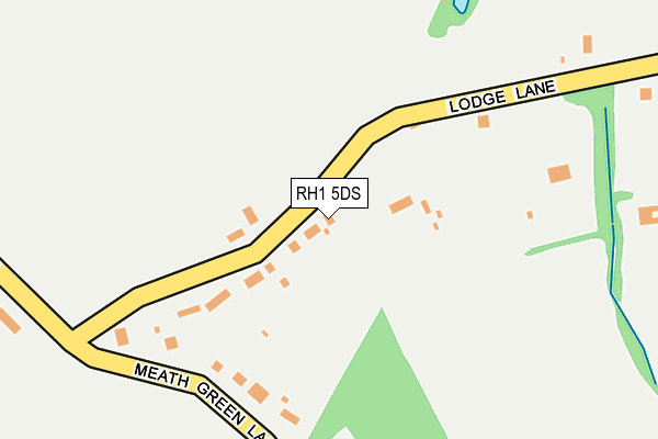 RH1 5DS map - OS OpenMap – Local (Ordnance Survey)