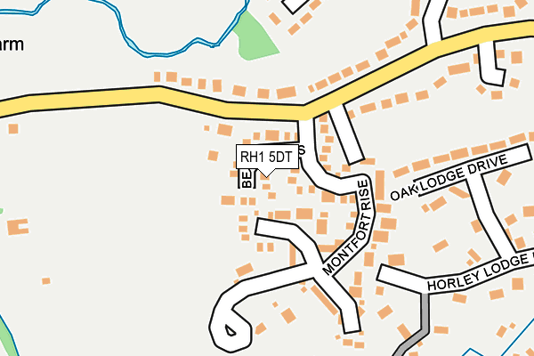 RH1 5DT map - OS OpenMap – Local (Ordnance Survey)