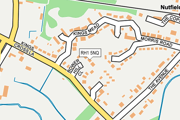 RH1 5NQ map - OS OpenMap – Local (Ordnance Survey)