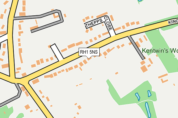 RH1 5NS map - OS OpenMap – Local (Ordnance Survey)