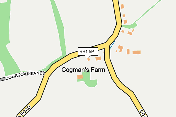 RH1 5PT map - OS OpenMap – Local (Ordnance Survey)