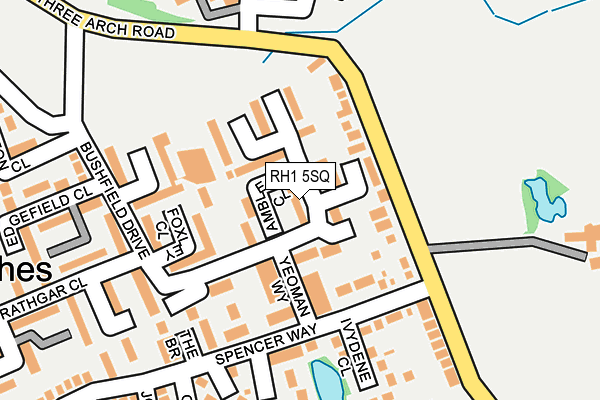 RH1 5SQ map - OS OpenMap – Local (Ordnance Survey)