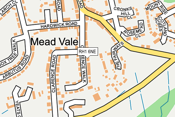RH1 6NE map - OS OpenMap – Local (Ordnance Survey)