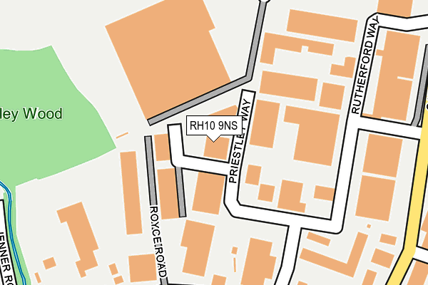 RH10 9NS map - OS OpenMap – Local (Ordnance Survey)