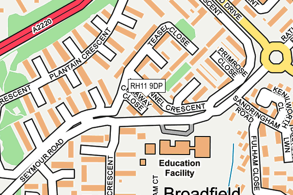 RH11 9DP map - OS OpenMap – Local (Ordnance Survey)