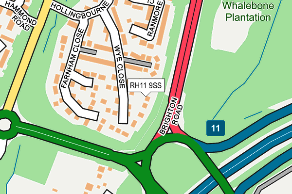 RH11 9SS map - OS OpenMap – Local (Ordnance Survey)