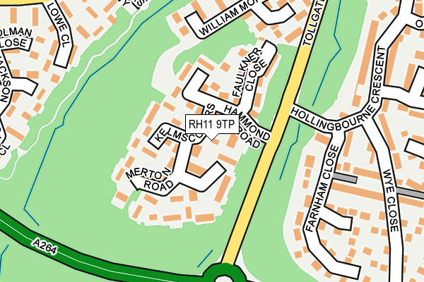 RH11 9TP map - OS OpenMap – Local (Ordnance Survey)