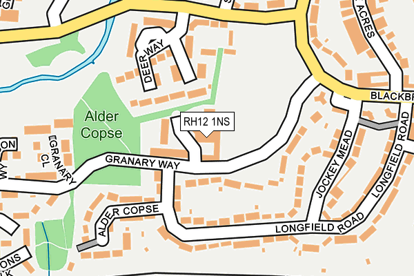RH12 1NS map - OS OpenMap – Local (Ordnance Survey)
