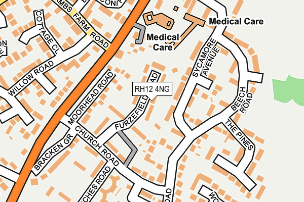 RH12 4NG map - OS OpenMap – Local (Ordnance Survey)